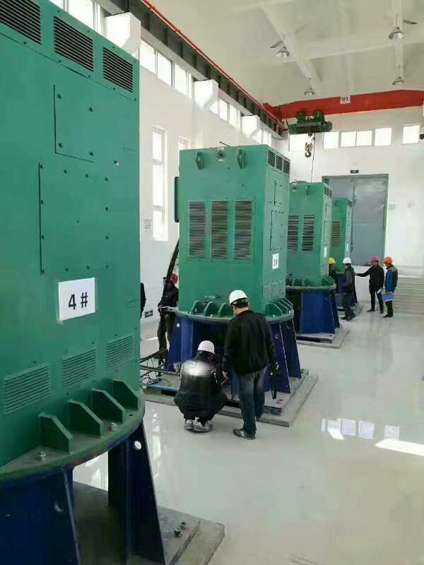 YKS4001-6某污水处理厂使用我厂的立式高压电机安装现场